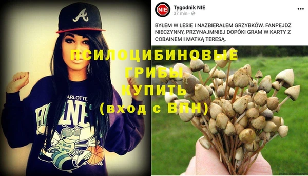 гашишное масло Балабаново